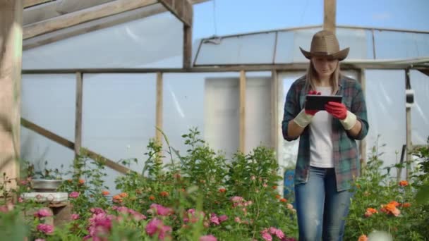 Un fleuriste avec un ordinateur tablette marche dans une serre et vérifie et vérifie les fleurs pour la comptabilité des petites entreprises, toucher et regarder les plantes . — Video
