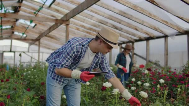 Colegas floristas trabajan junto con tabletas en un invernadero de cultivo de rosas. Pequeña empresa haciendo trabajo en equipo de verificación de flores en una tableta a través de Internet — Vídeo de stock