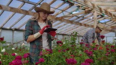 Modern küçük çiçek yetiştirme iş. İş arkadaşları çiçekçiler bir seratablet bilgisayarlar ile birlikte çalışır. 2 modern bahçıvan birlikte çiçek tomurcukları incelemek.