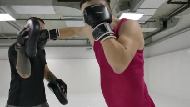 The fighter with the trainer fulfills blows in gloves on paws. Dodge the blows and strike quickly at the paws. Slow motion — Stock Video
