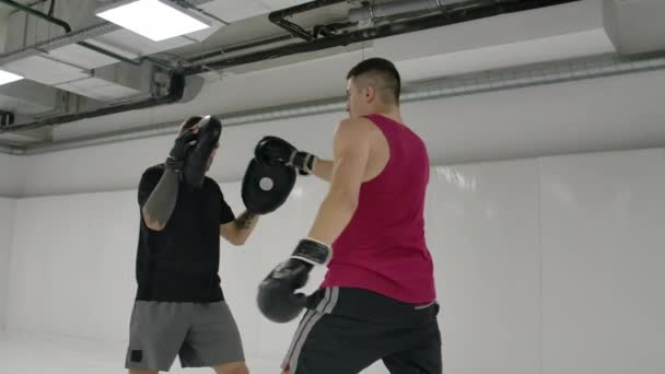 Kick boxer inflige des coups d'attaque avec ses mains et ses pieds, esquivant les coups de l'adversaire. Formation des équipements de choc . — Video