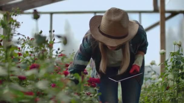 Kobieta ogrodnik w kapeluszu szuka kwiatów. Nowoczesna Kwiaciarnia używa komputera typu Tablet do analizowania wydajności kwiatów. — Wideo stockowe
