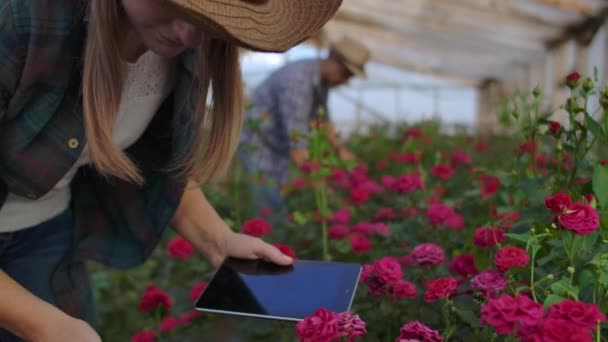 Eine Frau mit einem Tablet untersucht die Blumen und drückt ihre Finger auf den Tablet-Bildschirm. Blumenzuchtbetrieb überprüft Blumen im Gewächshaus. — Stockvideo
