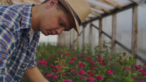 Ein Mann Florist mit einem Tablet-Computer untersucht und macht Informationen über die Farben in der Datenbank — Stockvideo