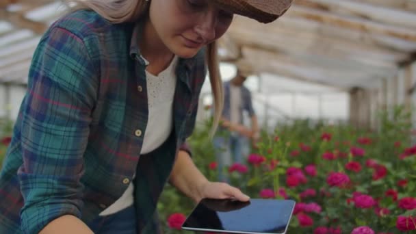 Una mujer con una tableta examina las flores y presiona los dedos en la pantalla de la tableta. Negocios de cultivo de flores revisando flores en invernadero . — Vídeos de Stock