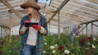 Meslektaşlarının takım çalışması modern gül çiftçilerin çiçek bir plantasyon ile sera ile yürümek, tomurcukları dokunmak ve tablet ekrana dokunun
