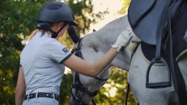 Zijaanzicht: Omhelzing met een paard — Stockvideo