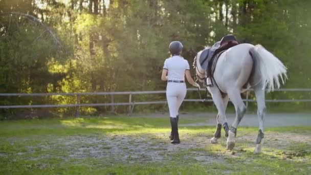 Kilátás hátulról: séta a lovas klubban a lovas nők és a ló — Stock videók