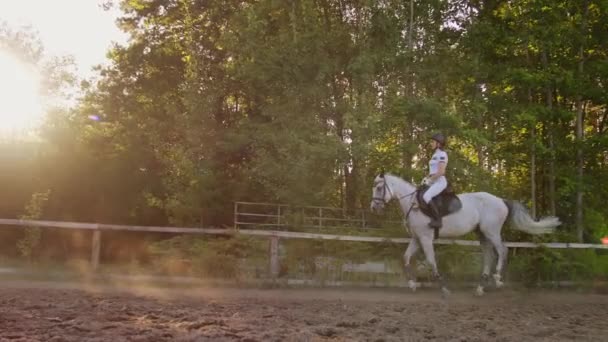 Seitenansicht: professioneller Reitsport in der Natur — Stockvideo