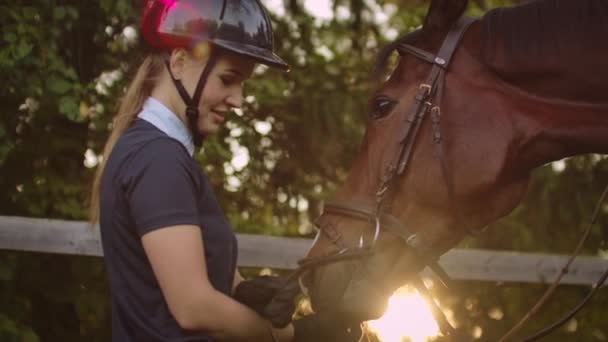 Paardenvrouwen voeren haar paard na de training — Stockvideo