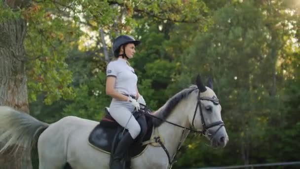 Passeios a cavalo de mulheres em seu cavalo — Vídeo de Stock