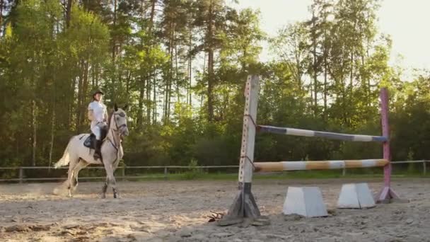 Profi lovasnőkről való ugrás megjelenítése — Stock videók