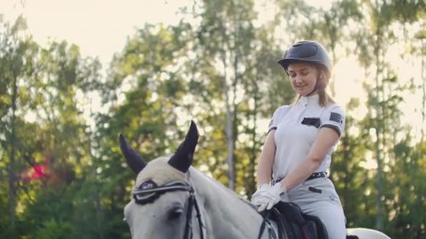 Momentos inesquecíveis com lindo cavalo — Vídeo de Stock