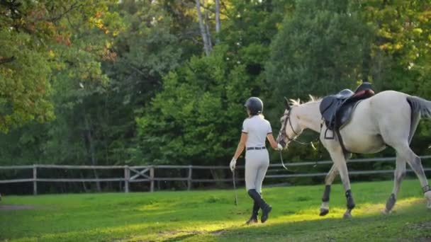 Kellemes séta a lovas nők és a ló a természetben. kilátás hátulról — Stock videók