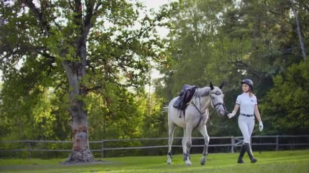Спокойная прогулка с любимой лошадью — стоковое видео