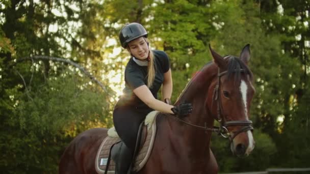 Sensazioni commoventi con un cavallo — Video Stock