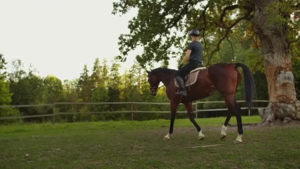 Equitation in nature slow motion — Stock Video