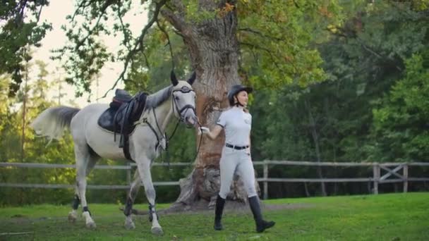 Krásná procházka s krásným koněm — Stock video