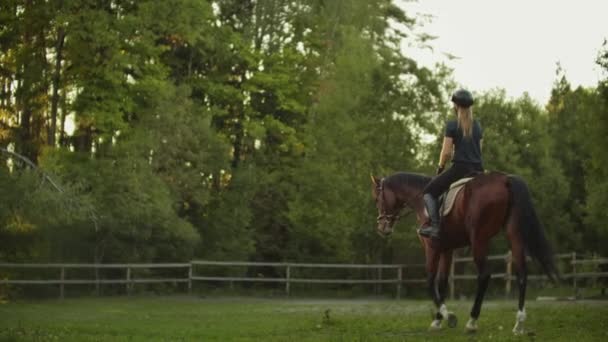 Riding a horse in a horse club — Stock Video