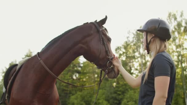 Amor e ternura com um cavalo — Vídeo de Stock