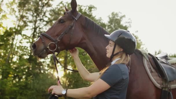 Giorno soleggiato con un cavallo — Video Stock