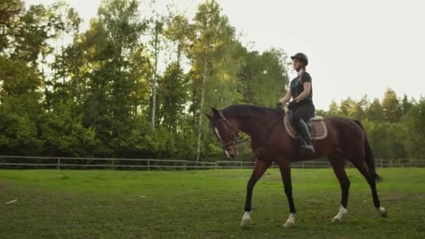 Equitación en la naturaleza en el club de caballos — Vídeos de Stock