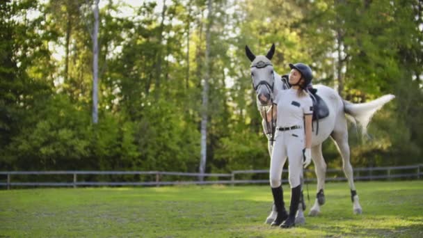 Cuidados e amor de cavaleiros para seu cavalo na natureza — Vídeo de Stock