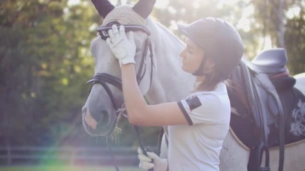 El amor y el cuidado de las mujeres a caballo a su amigo caballo — Vídeos de Stock