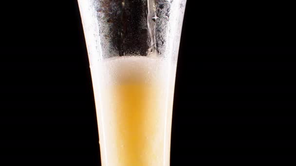 Zeitlupe in Nahaufnahme: Auf schwarzem Hintergrund wird kaltes Bier in ein Glas aus großen Tropfen und Blasen im Bier gegossen. — Stockvideo