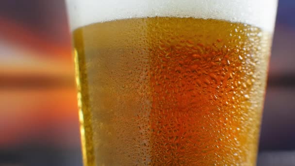 Bartender pouring cold beer into glass close-up, festival drink, cold beverage. Stock footage — Stock Video