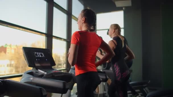 Uma jovem mulher bonita e três pessoas correndo em uma esteira em uma sala de fitness realizando um treino de cardio. Corrente interior, aquecimento antes do treino em câmara lenta — Vídeo de Stock