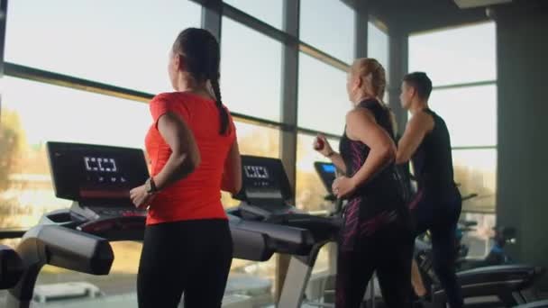 Skupina lidí běhajících na běžeckém pásu ve fitness centru a cvičících na kardiologii. Muži a ženy trénují společně Běžet dovnitř, zahřát se před tréninkem ve zpomaleném filmu — Stock video