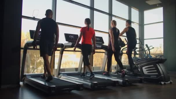 Unga män, män och kvinnor går på löpband i gymmet i slow motion — Stockvideo