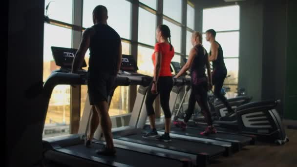 Personas entrenando en un gimnasio usando cintas de correr y cruz elíptica o entrenando en un gimnasio . — Vídeos de Stock