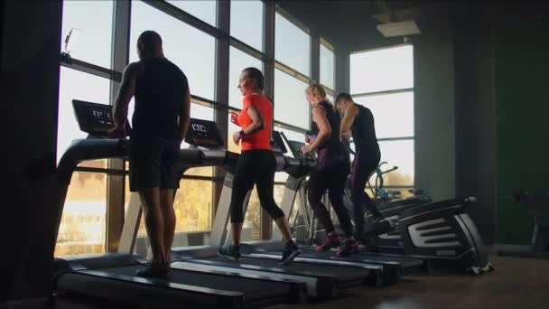 Jeunes hommes et femmes athlétiques faisant de l'exercice et courant sur tapis roulant dans une salle de sport — Video