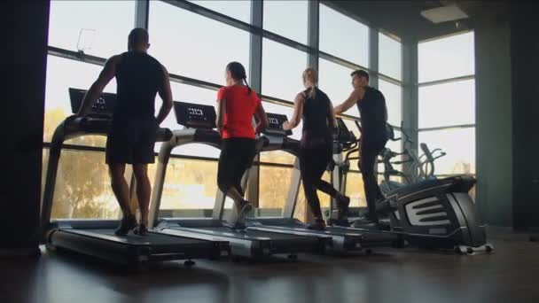 Couple de remise en forme en cours d'exécution sur machine tapis roulant dans le club de gym ensemble. Charmant homme dressant femme sur machine à courir dans un club de fitness. Vue arrière . — Video