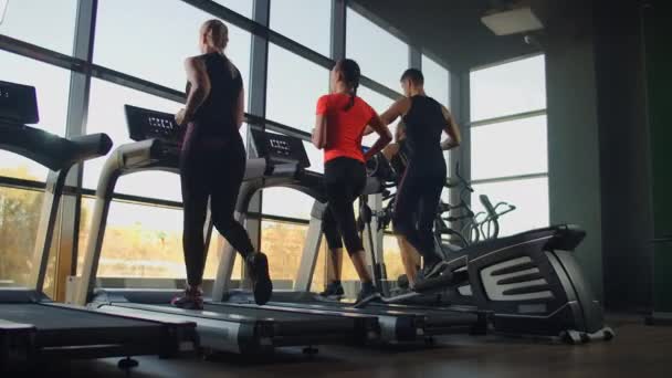 Un grupo de personas corriendo en cintas de correr cerca de una gran ventana panorámica. Entrenamiento cardiovascular en grupo . — Vídeos de Stock