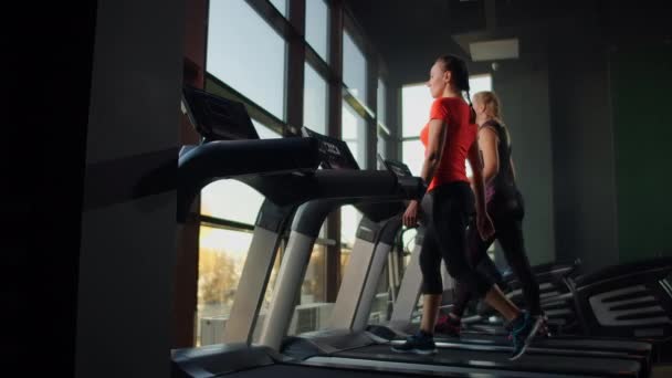 A group of people walking on treadmills near a large panoramic window. Group cardio workout. Start of fitness classes. Young beautiful women and men in sportswear in cardio fitness room — Stock Video