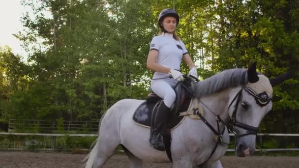 Perfect horseback riding. Slow motion — Stock Video