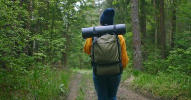 Ağır çekim: Genç bayan yürüyüşçü ormanda hafta sonunun tadını çıkarırken akıllı telefonunu kullanıyor. Sırt çantalı gezgin bir kadın ormanda yürüyor telefona ve yeşil ahşap haritaya bakıyor.