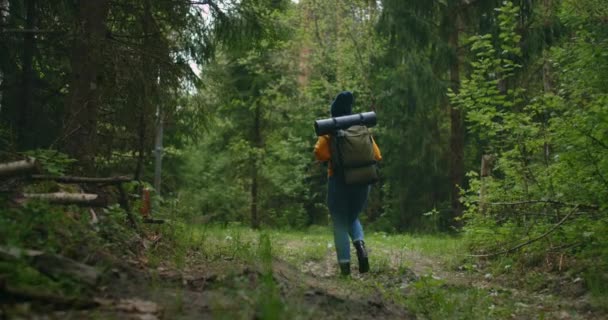 Een jonge vrouw loopt langs een weg in het bos met een rugzak in slow motion. Een vrouwelijke reiziger in een gele trui en hoed wandelt in de herfst of lente langs een bosweg. — Stockvideo