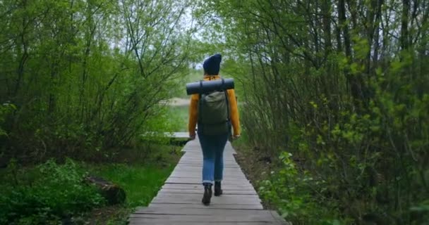 Vue de l'arrière : femelle allant le vieux pont en bois dans le bois. Backpacker femelle explore la forêt tropicale pendant l'été. Mouvement lent : Femme caucasienne marche sur un sentier en bois près de l'eau — Video