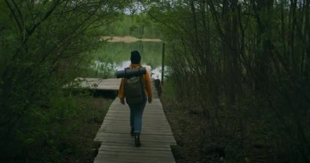 Utsikt från baksidan: hona går den gamla träbron i skogen. Backpacker hona utforskar tropisk skog under sommaren. Slow motion: Kaukasisk kvinna gå på träväg nära vatten — Stockvideo