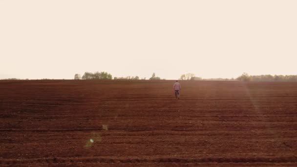 Luchtfotografie van een geploegd veld voor het planten van groenten en gewassen. Een man boer gaat en onderzoekt het veld — Stockvideo