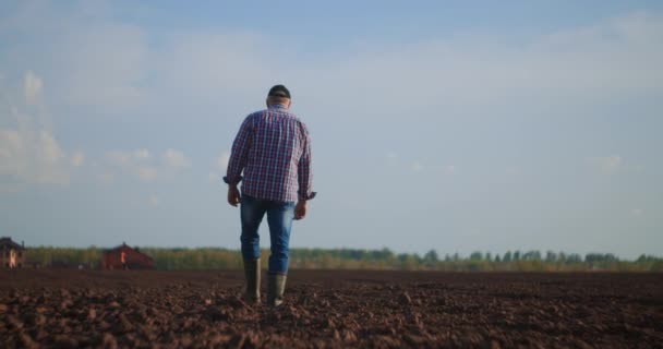Senor een mannelijke boer gaat naar het veld tijdens een droogte inspectie van de velden. Analyse en planning van de landbouwactiviteiten en de plantaardige productie. — Stockvideo