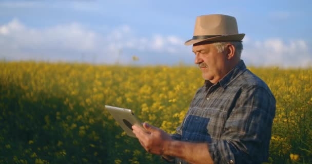 農業学者や農家が菜の花畑を調査している。農家は畑で冬の菜種の成長を調べます。若い男はデジタルタブレットを使用しています。日没の日差し. — ストック動画