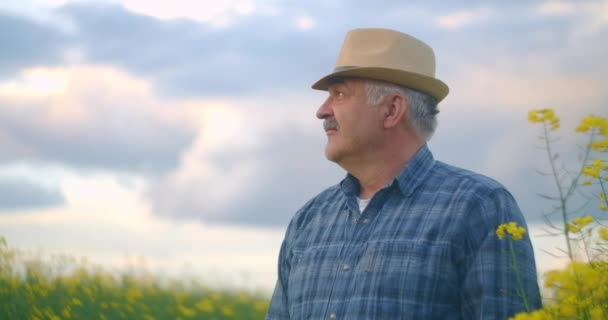 Un granjero anciano con sombrero al atardecer en un campo de colza después del trabajo mira el atardecer. Retrato de un granjero en un campo de colza. Conductor del tractor después del trabajo . — Vídeo de stock