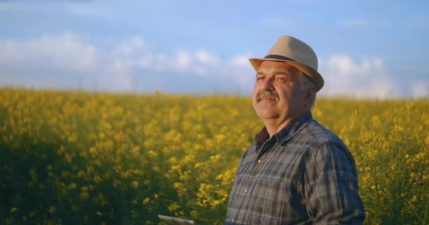 Un granjero anciano con sombrero al atardecer en un campo de colza después del trabajo mira el atardecer. Retrato de un granjero en un campo de colza. Conductor del tractor después del trabajo . — Vídeos de Stock