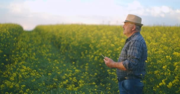 Rolnik sprawdzanie upraw pola rzepakowego z tabletem cyfrowym przeciwko pięknym żółtym polu rzepaku. Grunty rolne, kwiaty — Wideo stockowe
