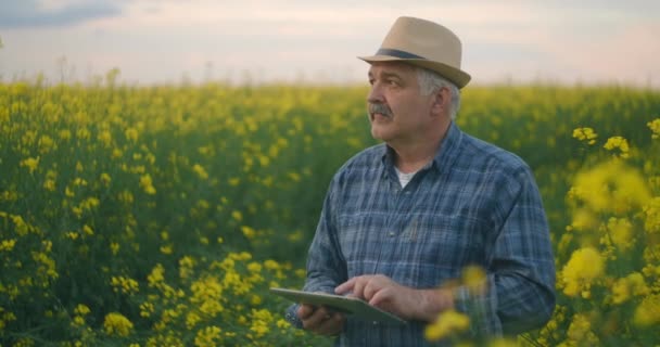 Farmer Checking Crops of Rapeseed Field with Digital Tablet Against Beautiful Yellow Rapeseed field (en inglés). Tierras de cultivo, flor — Vídeos de Stock